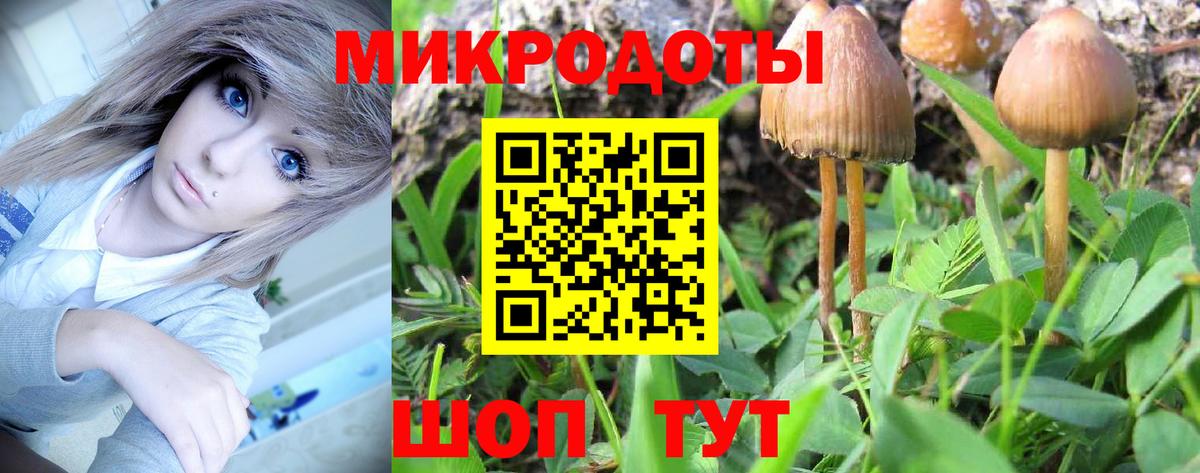 Псилоцибиновые грибы GOLDEN TEACHER  Псилоцибиновые грибы Psilocybine cubensis  Вход с VPN  Усть-Илимск 